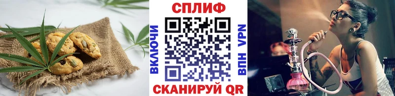 закладка  блэк спрут ССЫЛКА  Cannafood конопля  Шатура 