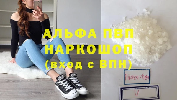 сатива Алзамай