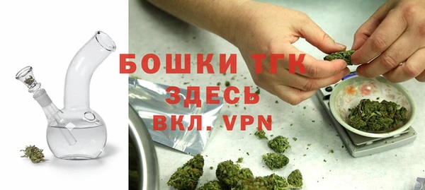 гидра Алексеевка