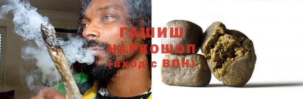гидра Алексеевка
