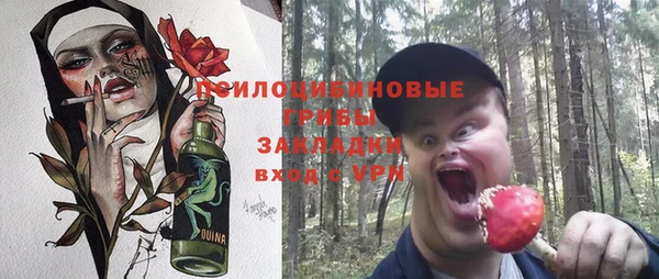 сатива Алзамай