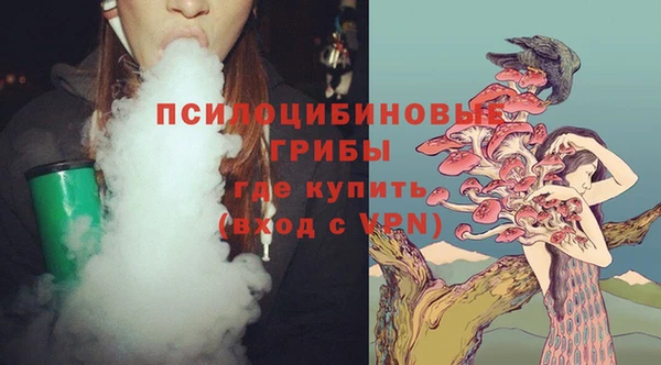 сатива Алзамай
