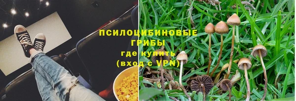сатива Алзамай