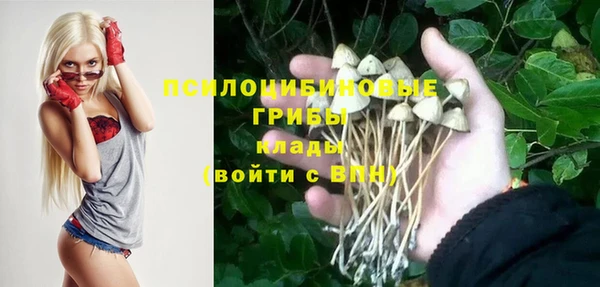 гидра Алексеевка